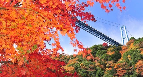 <新宿発・西船橋発> 懐かしの蒸気機関車!SLもおか号 と 絶景!大パノラマの渓谷美・紅葉の竜神大吊橋 ~新入荷!常陸秋そば使用「名物・つけけんちん蕎麦」の昼食付き♪~2